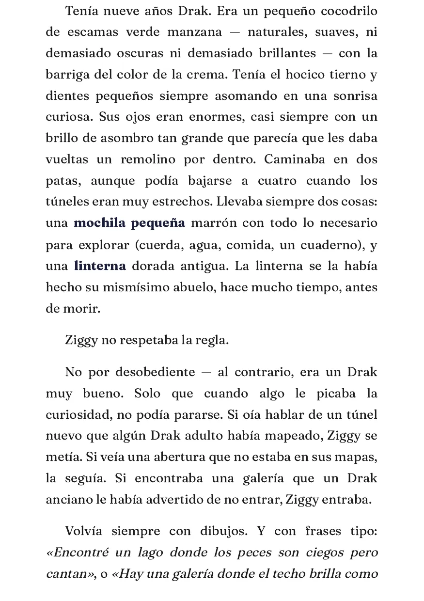 Ziggy — página 5